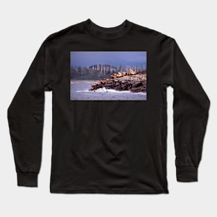 Sea lions . Long Sleeve T-Shirt